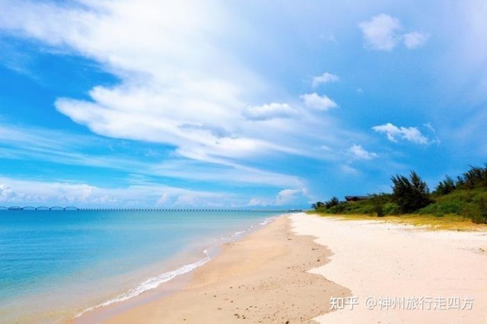 私人導(dǎo)游_泰國旅游私人導(dǎo)游_我來做你的私人導(dǎo)游之武漢的論壇