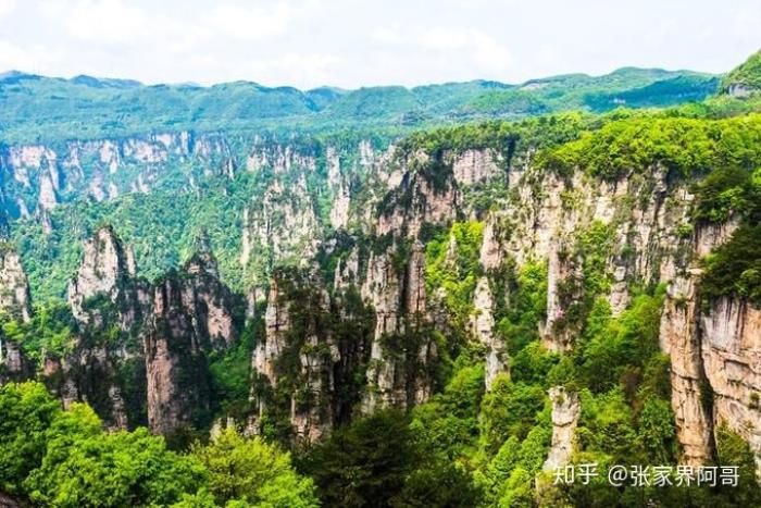 私人導(dǎo)游價格_私人導(dǎo)游_私人導(dǎo)游潛規(guī)則