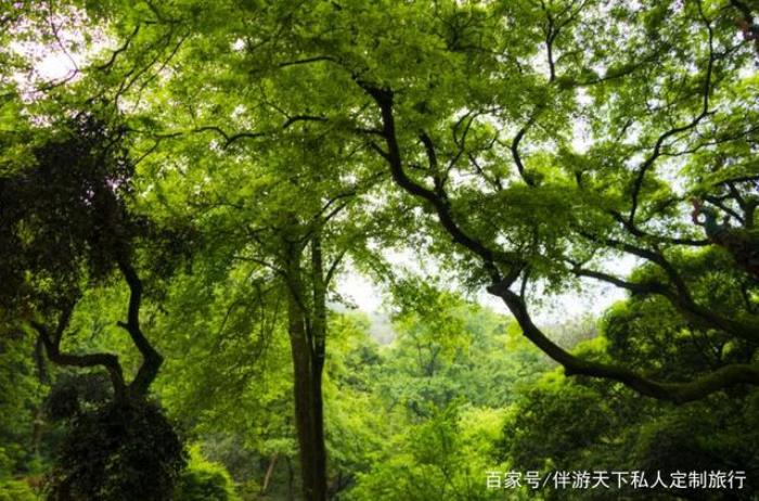 哪里招商務(wù)伴游男_廣州商務(wù)伴游_長沙商務(wù)伴游