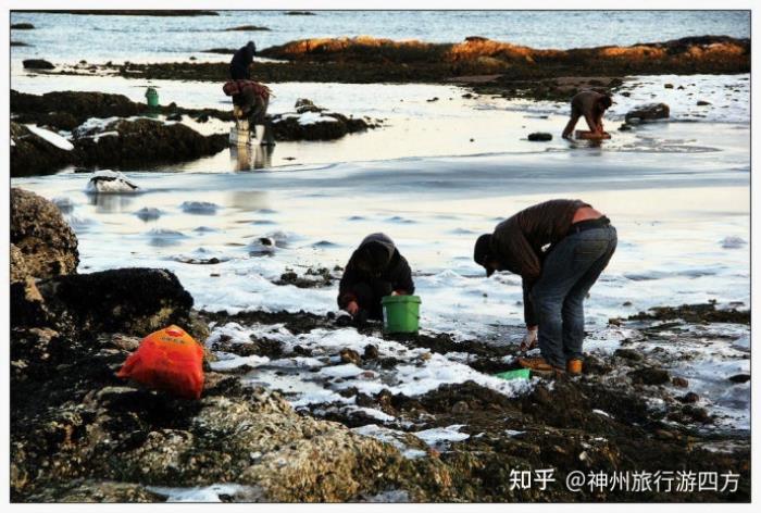 福建廈門(mén)伴游路線,廈門(mén)伴游必去景點(diǎn)大全,讓你的伴游輕松愉快! 福建廈門(mén)伴游路線,廈門(mén)伴游必去景點(diǎn)大全,讓你的伴游輕松愉快!