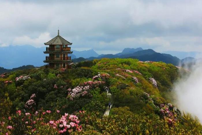 金佛山北坡和西坡有什么區(qū)別