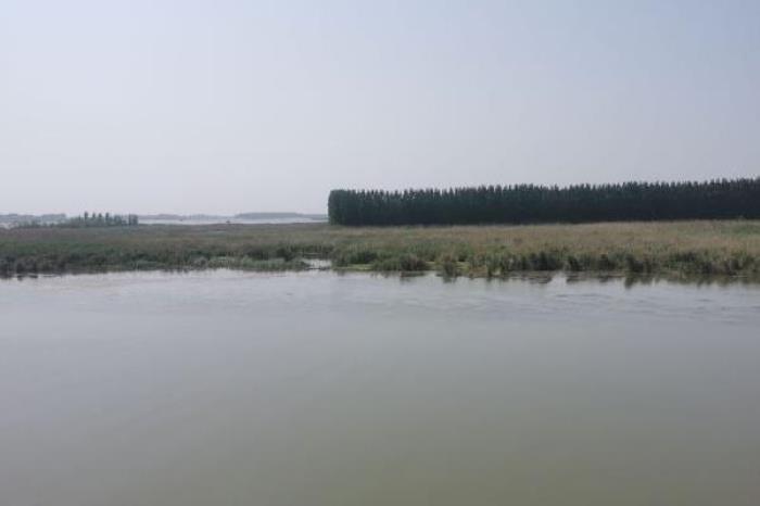 微山島旅游攻略自駕游