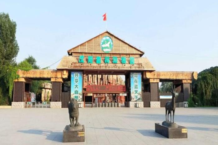 2022沈陽森林動物園營業時間及門票價格