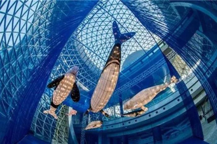 上海科技館最強游玩攻略