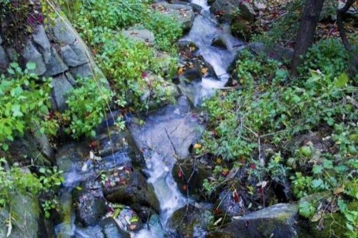 怎么去九如山瀑布群風景區 九如山是哪個省的