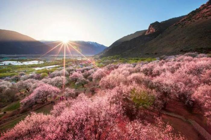 春季旅游路線推薦 每一個(gè)都不容錯(cuò)過