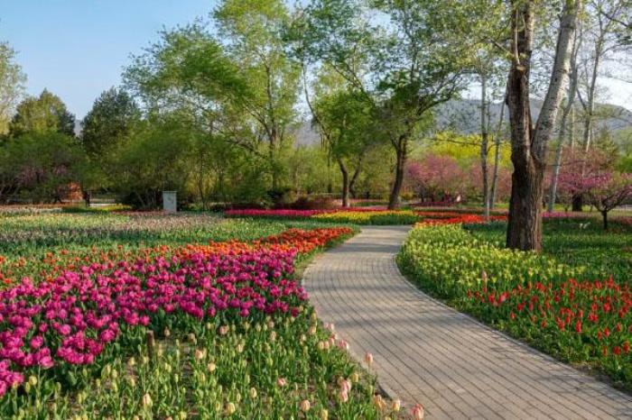 2022國(guó)家植物園游玩指南 附開放時(shí)間及門票價(jià)格