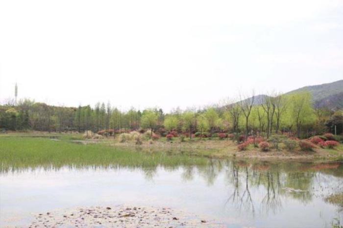 無錫長廣溪濕地公園好玩嗎
