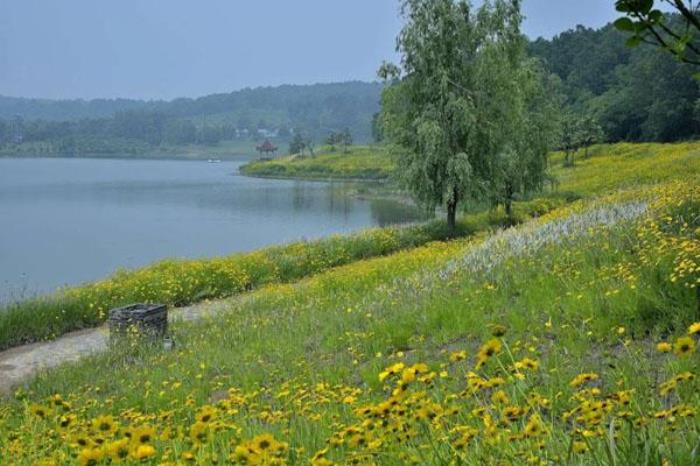 平山森林公園有哪些景點(diǎn) 必去景點(diǎn)介紹