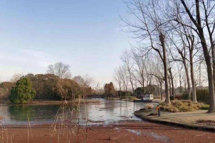 上海世紀公園一日游玩攻略