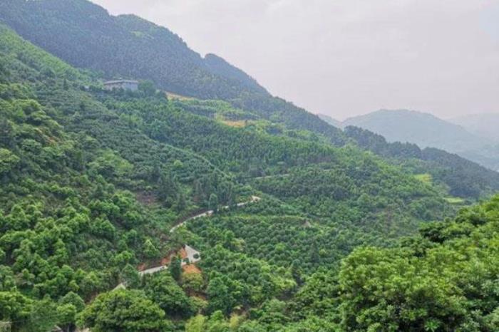 佛現(xiàn)山