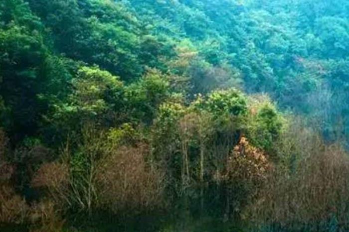 九連山國家自然保護區
