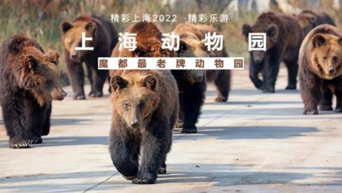 2022《精彩上?！仿糜温撈?   title=