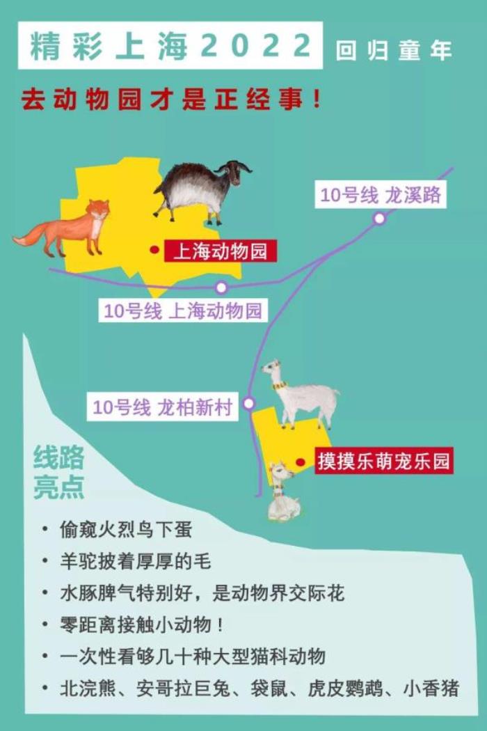 2022《精彩上?！仿糜温撈?   title=