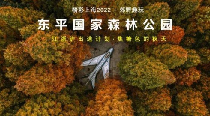 2022《精彩上?！仿糜温撈?   title=