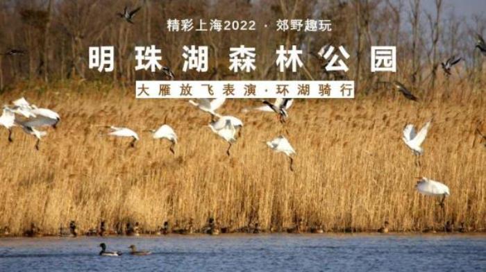 2022《精彩上?！仿糜温撈?   title=