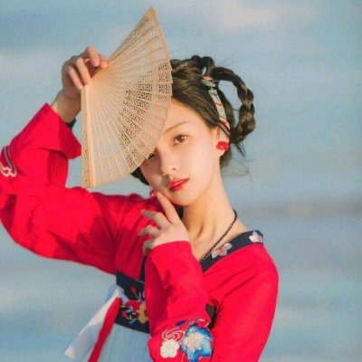 開原伴游服務(wù)電腦推銷將彤花
