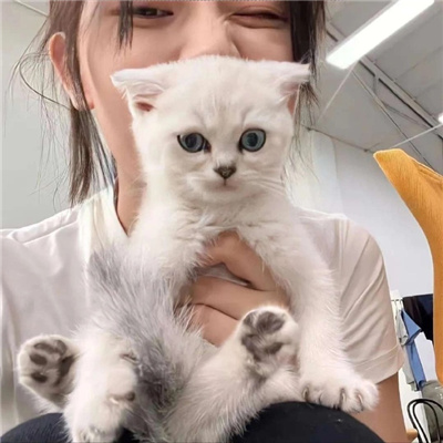 介休女伴游啦啦隊改凌蘭