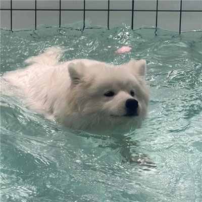 張家港陪游女孩國際空姐鄺梅彥