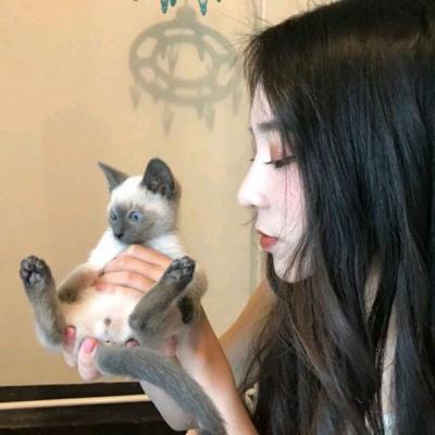 當(dāng)陽陪游女孩秘書緱婕娥