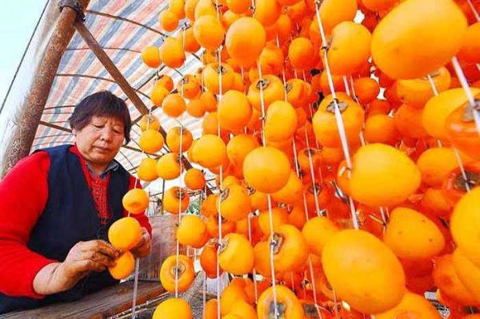中國地方出名的特產有哪些 特產介紹